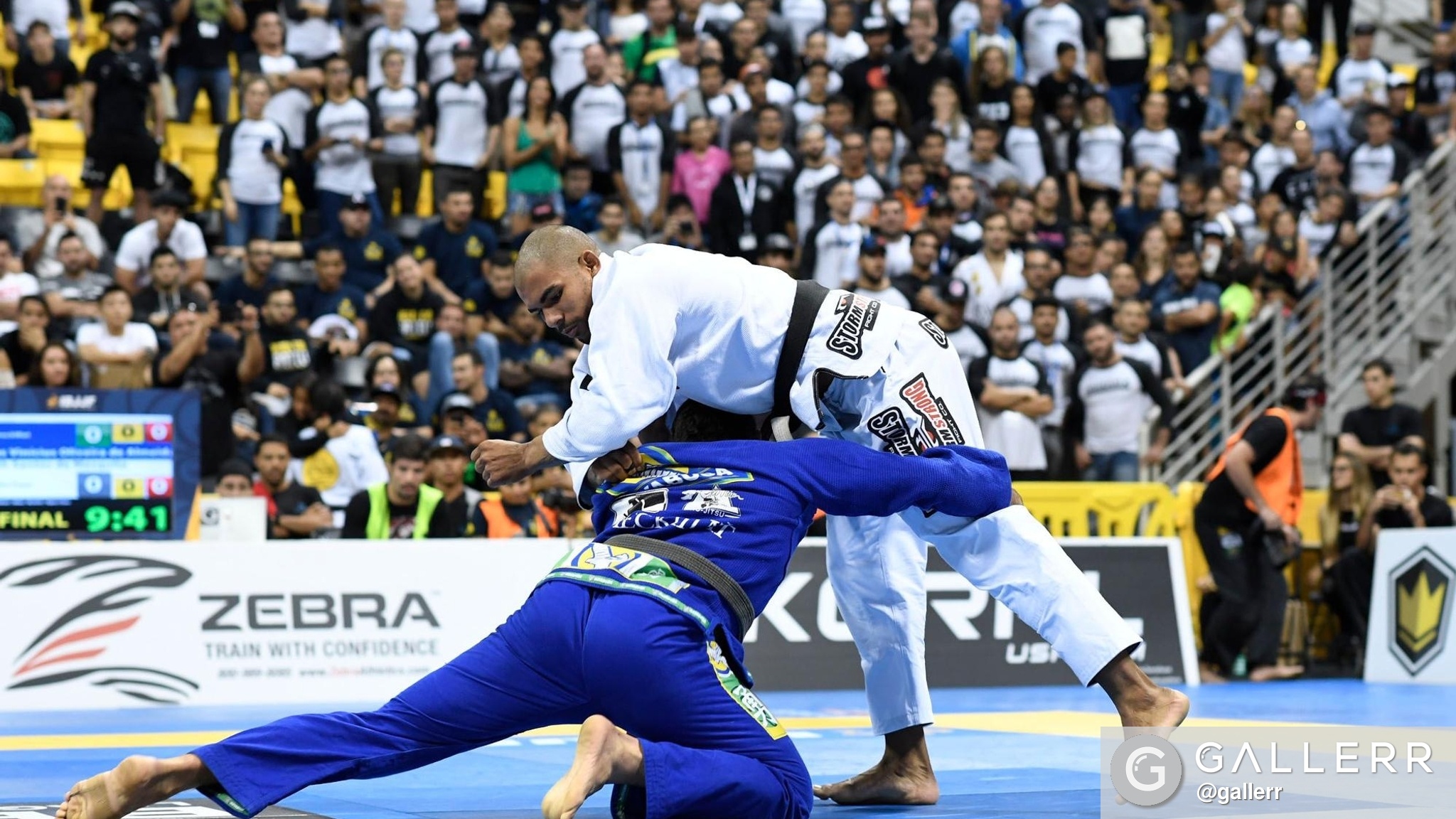 2016 IBJJF World Championship Highlight 